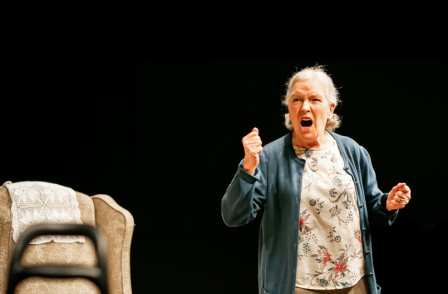 Review: BENEATH THE BLUE RINSE at the Park Theatre