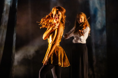 Review: EIREANN BY A TASTE OF IRELAND at Peacock Theatre